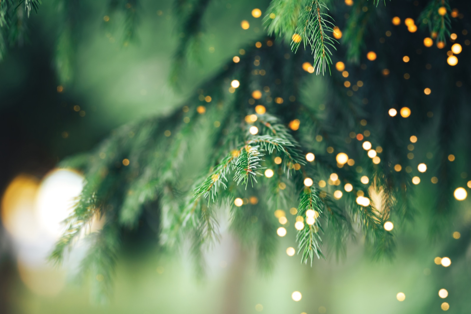 47-christmas-words-that-start-with-l-list-with-meanings-jacobs